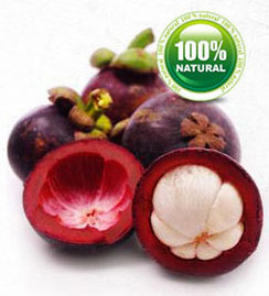 Garcinia Cambogia Extract - Health Benefits of Garcinia HCA Fruit