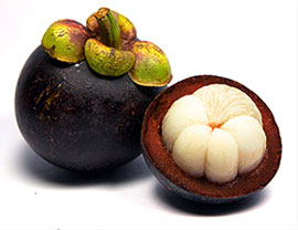 Garcinia_cambogia1