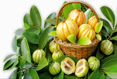 garcinia cambogia benefits